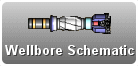 Show_wellbore_schematic.gif