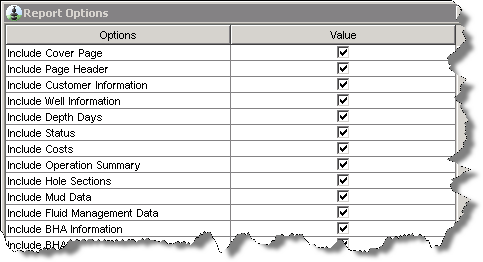 daily_drilling_report_options.gif