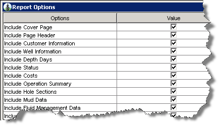 ddr_report_options.gif